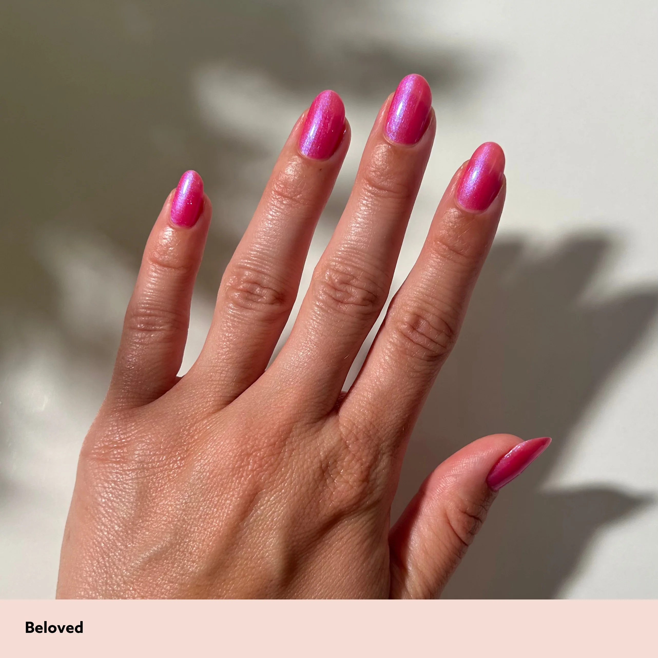 Beloved - Image 3
