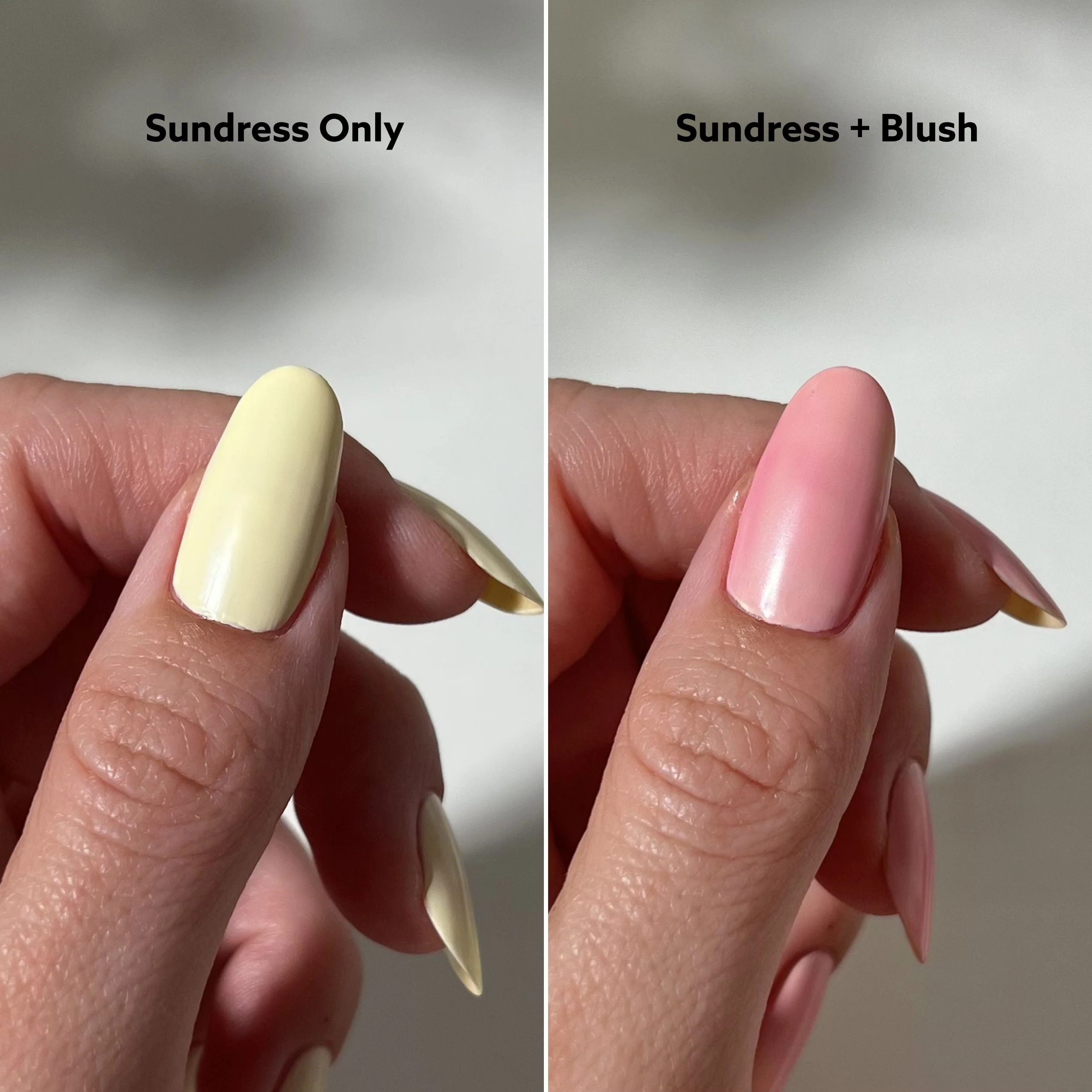 Blush - Image 7