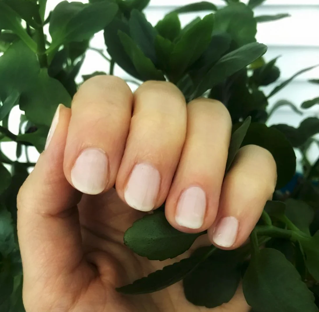 Rose Quartz - Image 3