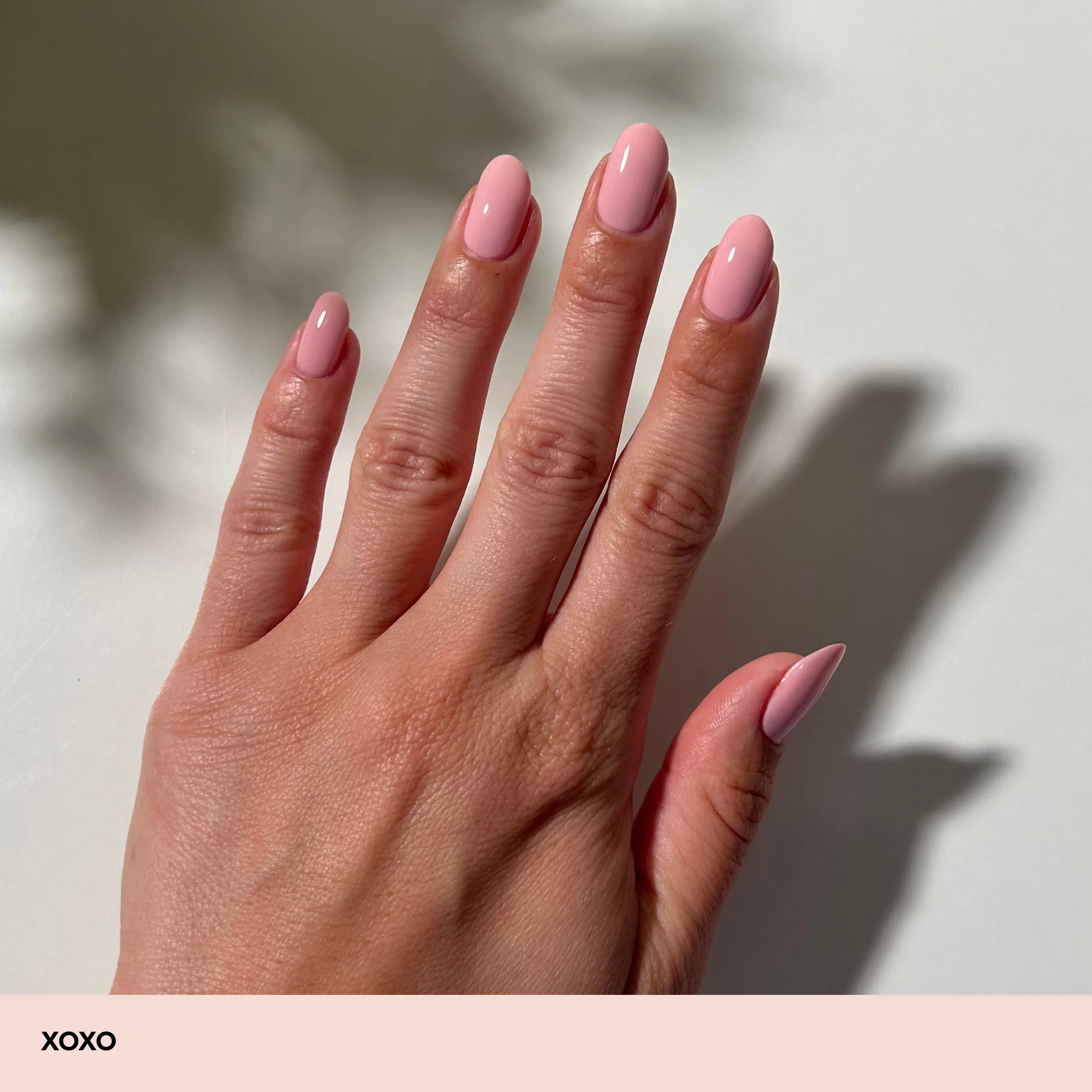 XOXO - Image 3